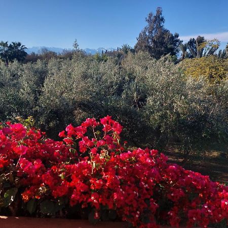 Manzal Lahbab Bed & Breakfast Marakeş Dış mekan fotoğraf