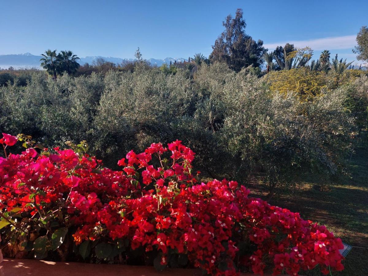 Manzal Lahbab Bed & Breakfast Marakeş Dış mekan fotoğraf